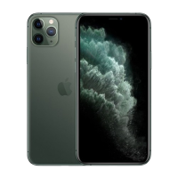 iPhone 11 Series