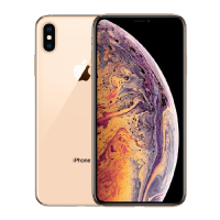 iPhone X Series